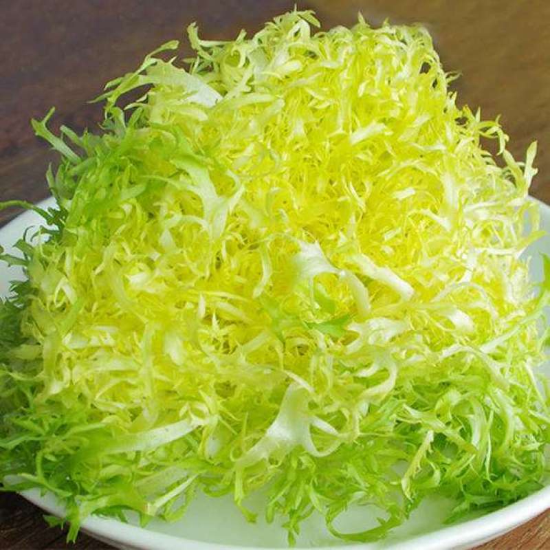 苦苣种子神禾黄心苦菊种籽蔬菜种孑沙拉生菜叶菜四季大棚