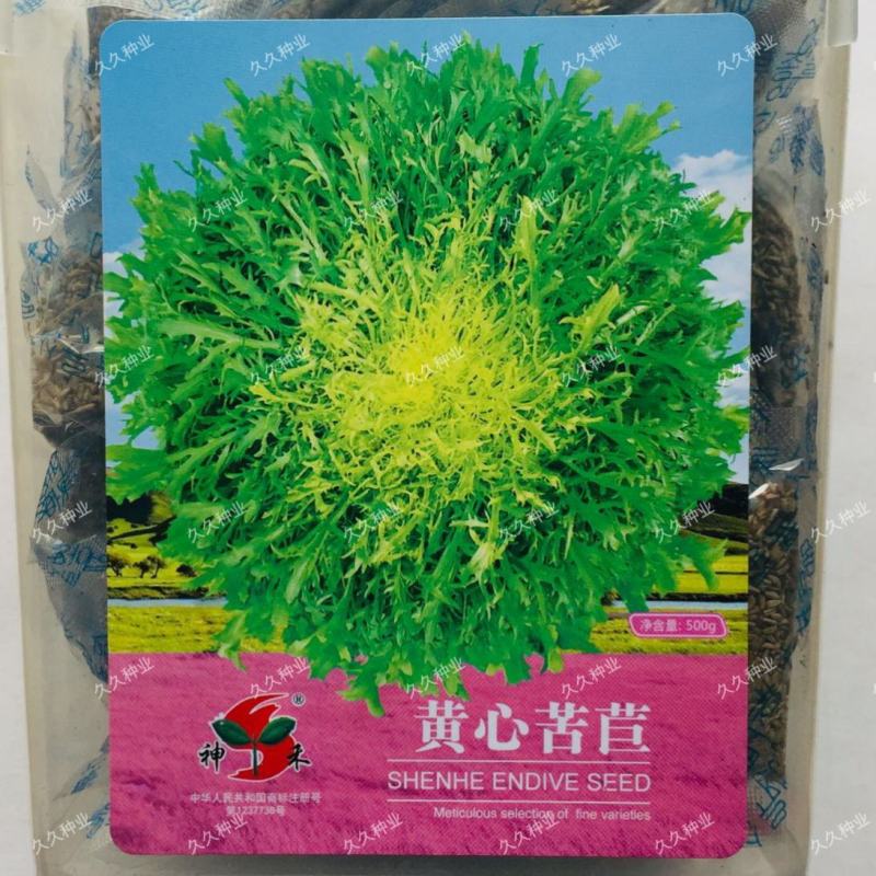 苦苣种子神禾黄心苦菊种籽蔬菜种孑沙拉生菜叶菜四季大棚