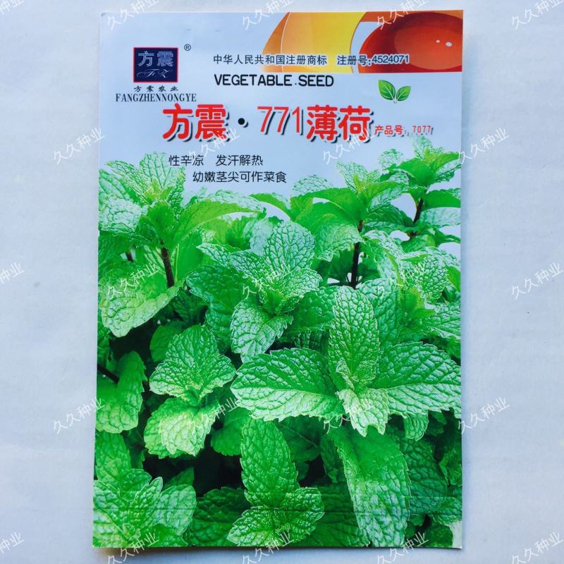 菜用薄荷种子易活食用薄荷种子可吃四季播种室内驱蚊盆栽花种