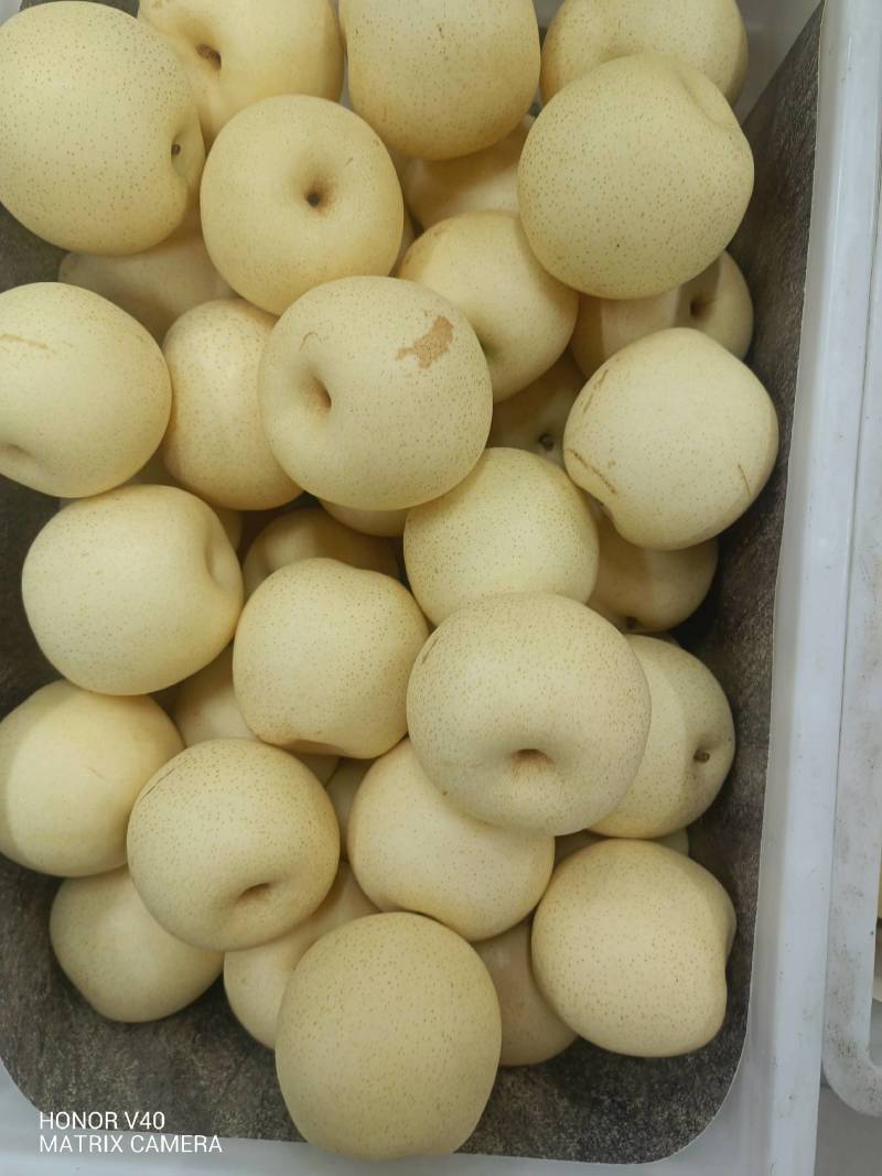 皇冠梨
