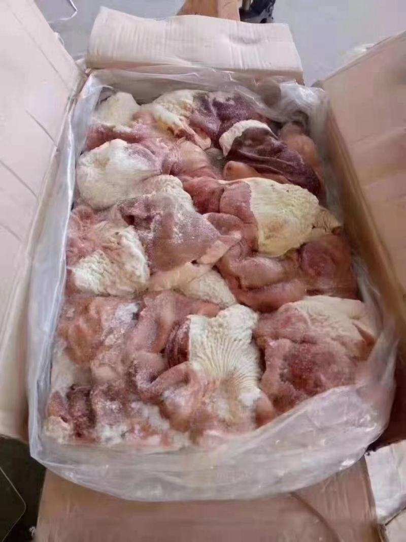 驴肚马肚颜色鲜质量优量大优惠全程冷链运输可快递欢迎选购