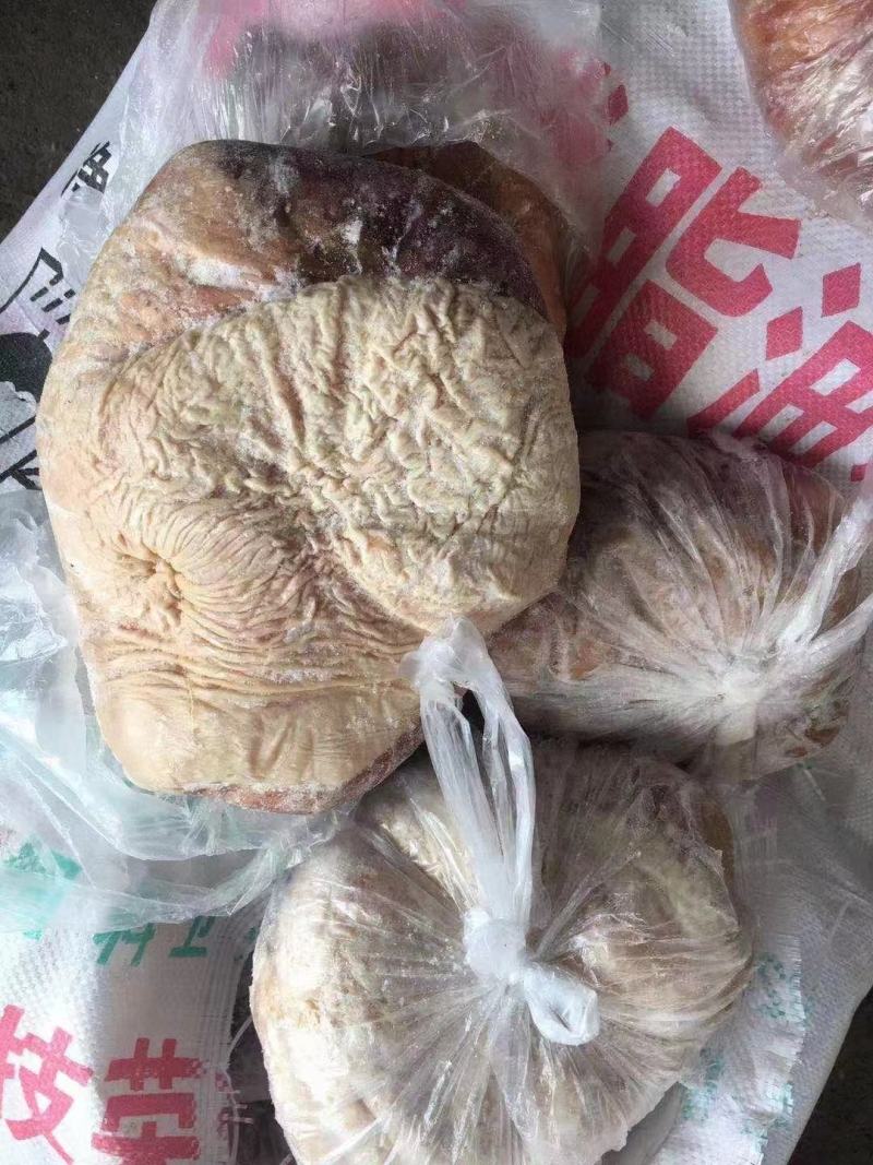 驴肚马肚颜色鲜质量优量大优惠全程冷链运输可快递欢迎选购