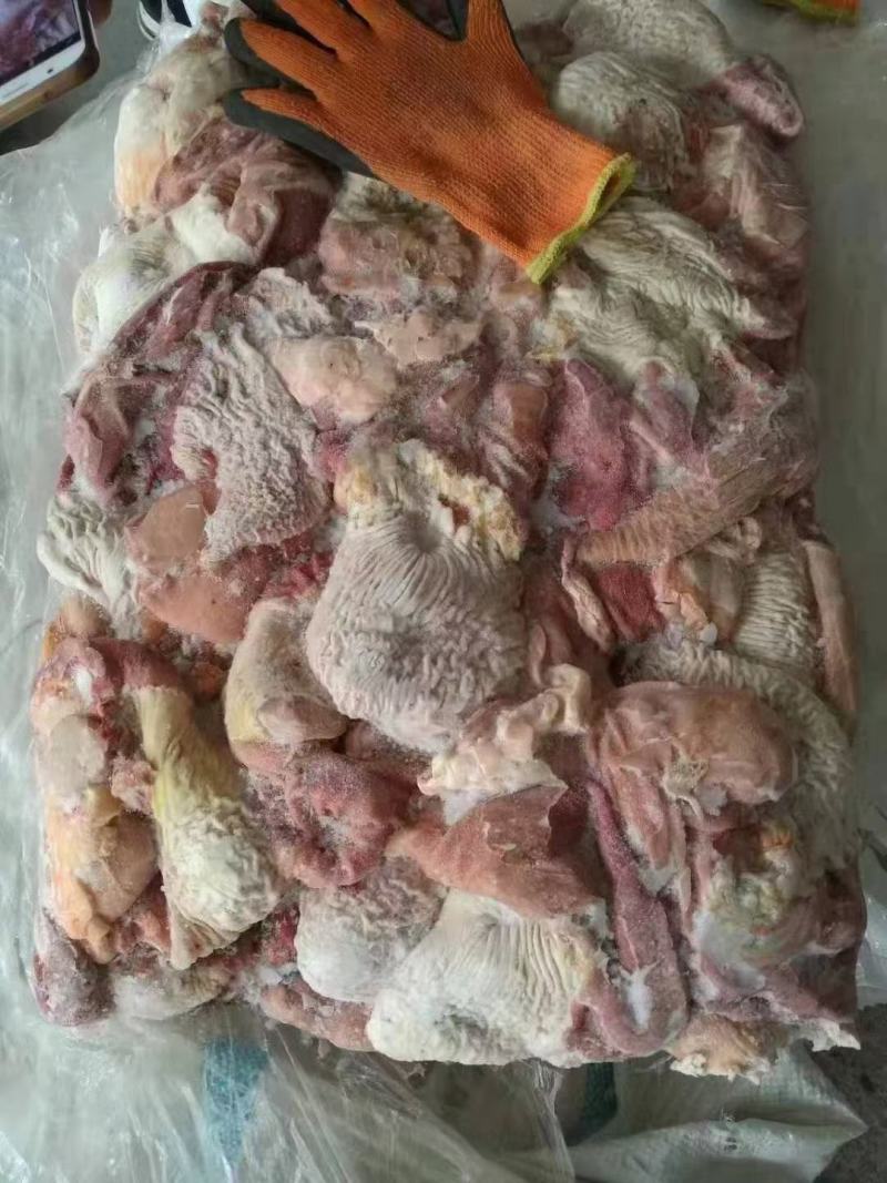驴肚马肚颜色鲜质量优量大优惠全程冷链运输可快递欢迎选购