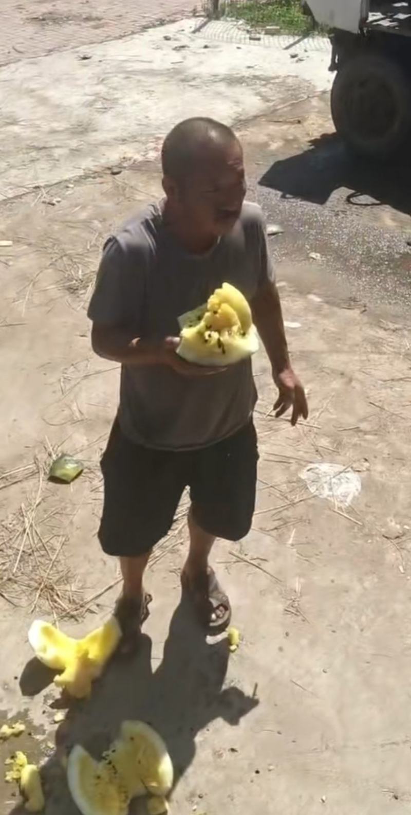 打瓜