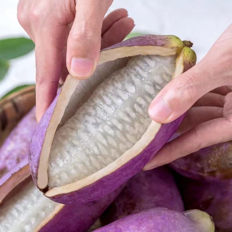 八月瓜一手货源欢迎各位老板来谈