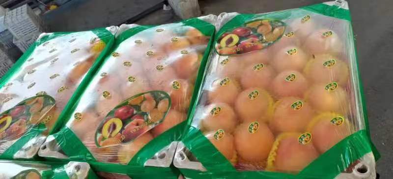 黄金蜜三号，质量好