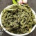 内蒙草原车前草野生泡茶中药材猪耳朵草新鲜晾晒清热去火牛舌