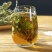 内蒙草原车前草野生泡茶中药材猪耳朵草新鲜晾晒清热去火牛舌