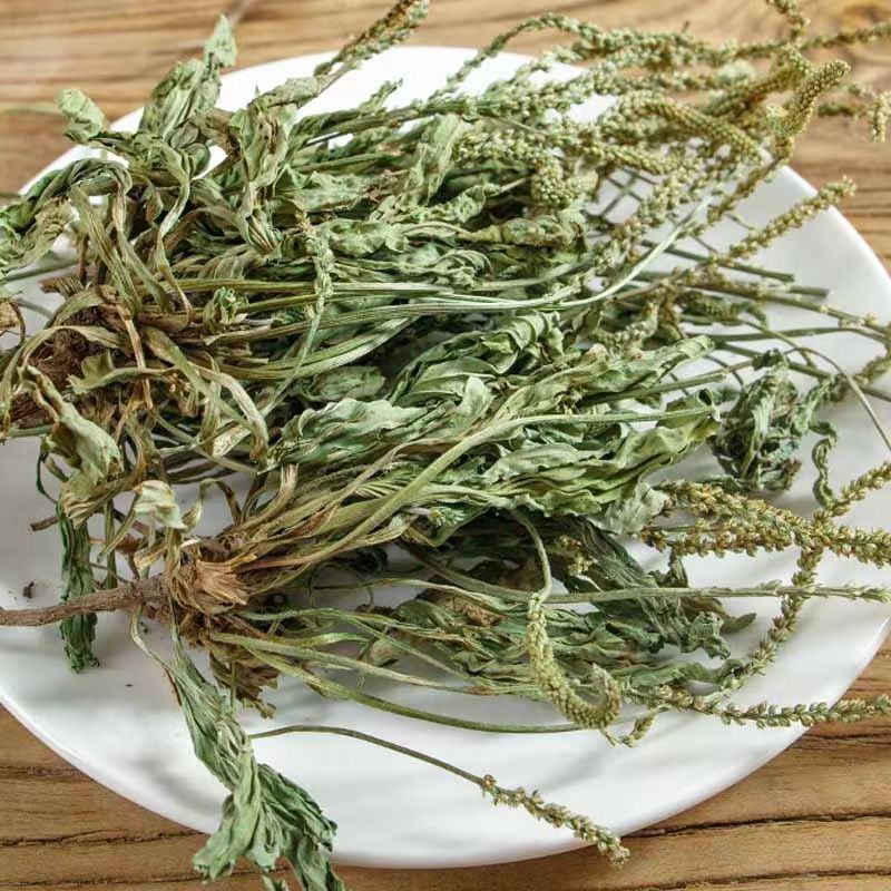 内蒙草原车前草野生泡茶中药材猪耳朵草新鲜晾晒清热去火牛舌