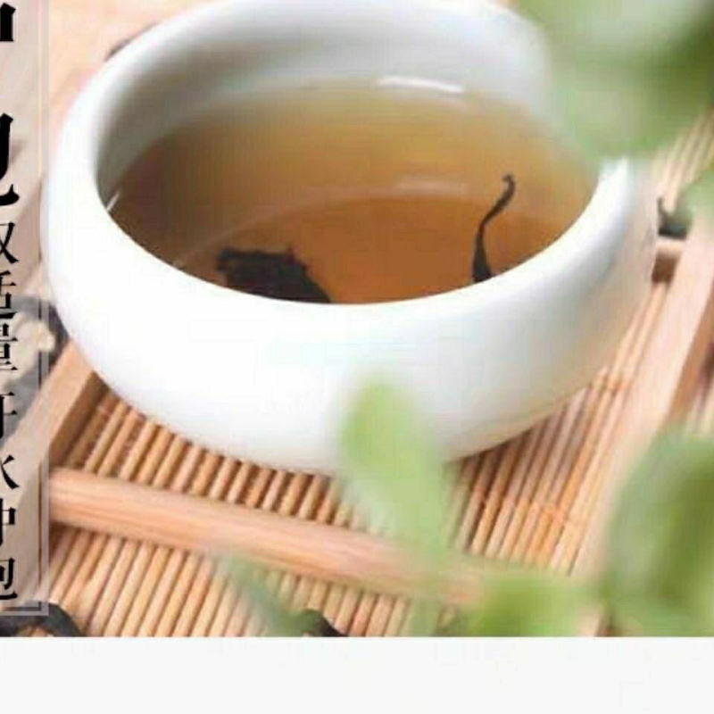内蒙草原车前草野生泡茶中药材猪耳朵草新鲜晾晒清热去火牛舌