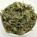 内蒙草原车前草野生泡茶中药材猪耳朵草新鲜晾晒清热去火牛舌