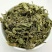内蒙草原车前草野生泡茶中药材猪耳朵草新鲜晾晒清热去火牛舌