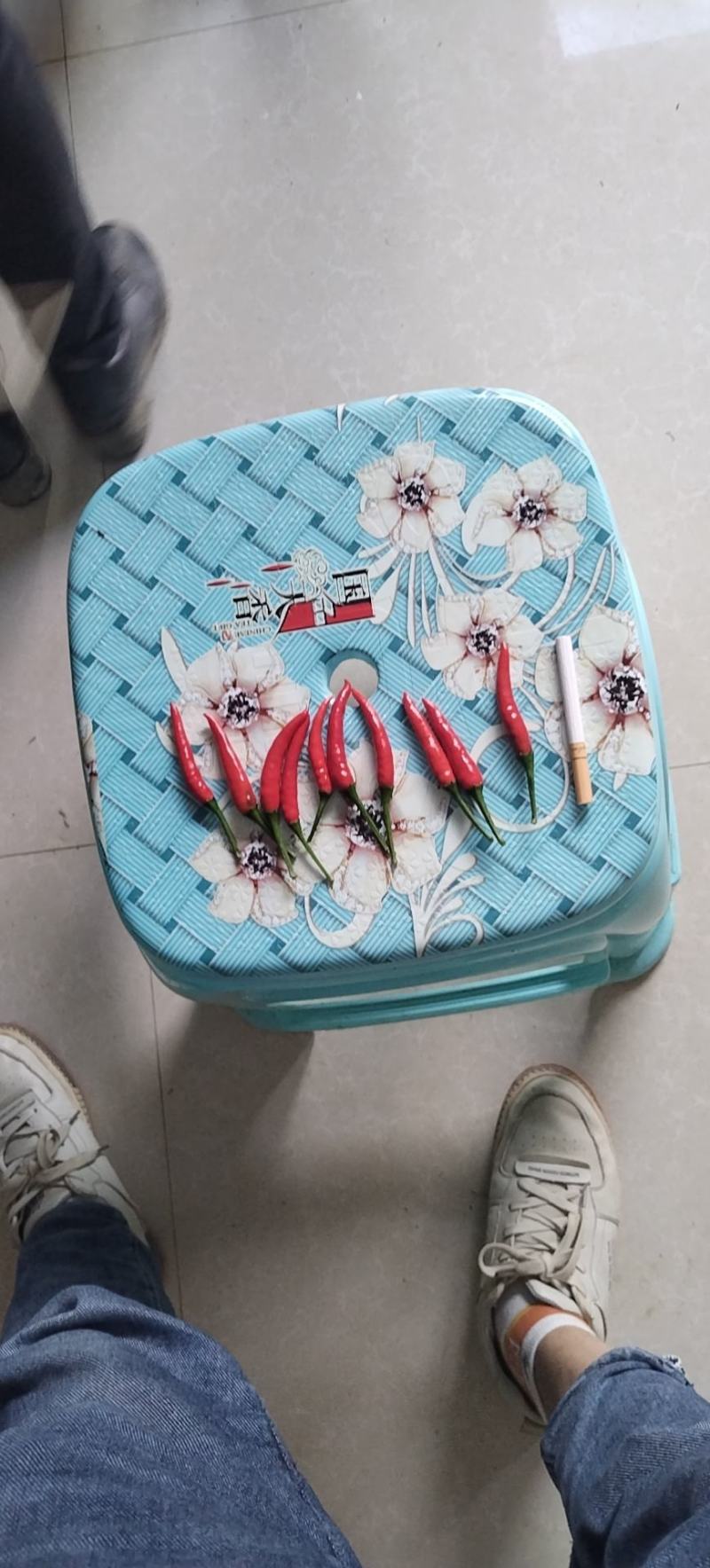 贵州小米辣，新五二，老五二，艳椒908，子弹头，量大从优