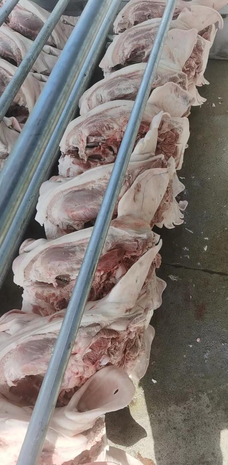 母猪去皮槽头肉，厂家直供，物美价廉，对接大型批发商