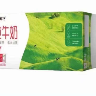 蒙牛纯牛奶