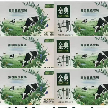 金典牛奶