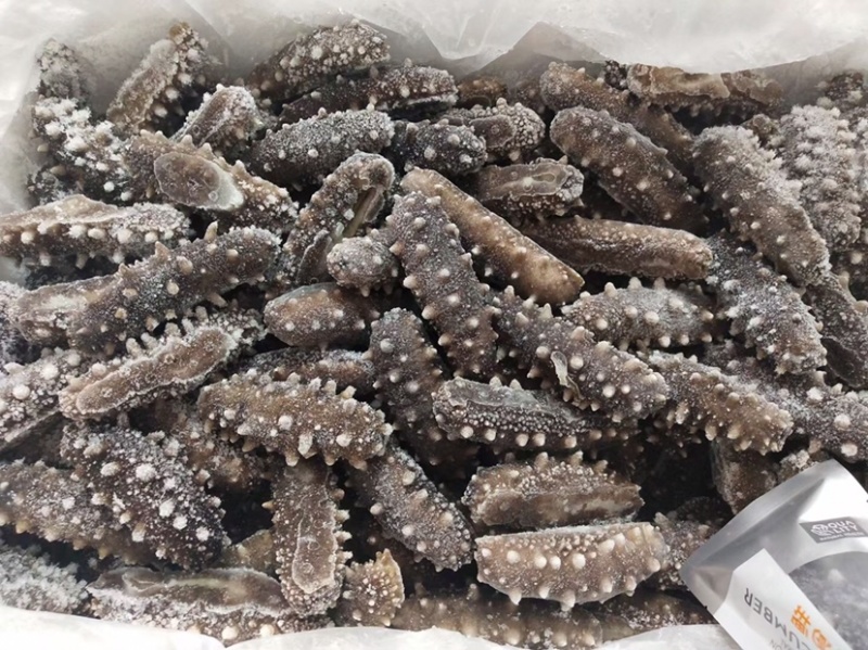 即食海参500克10条装