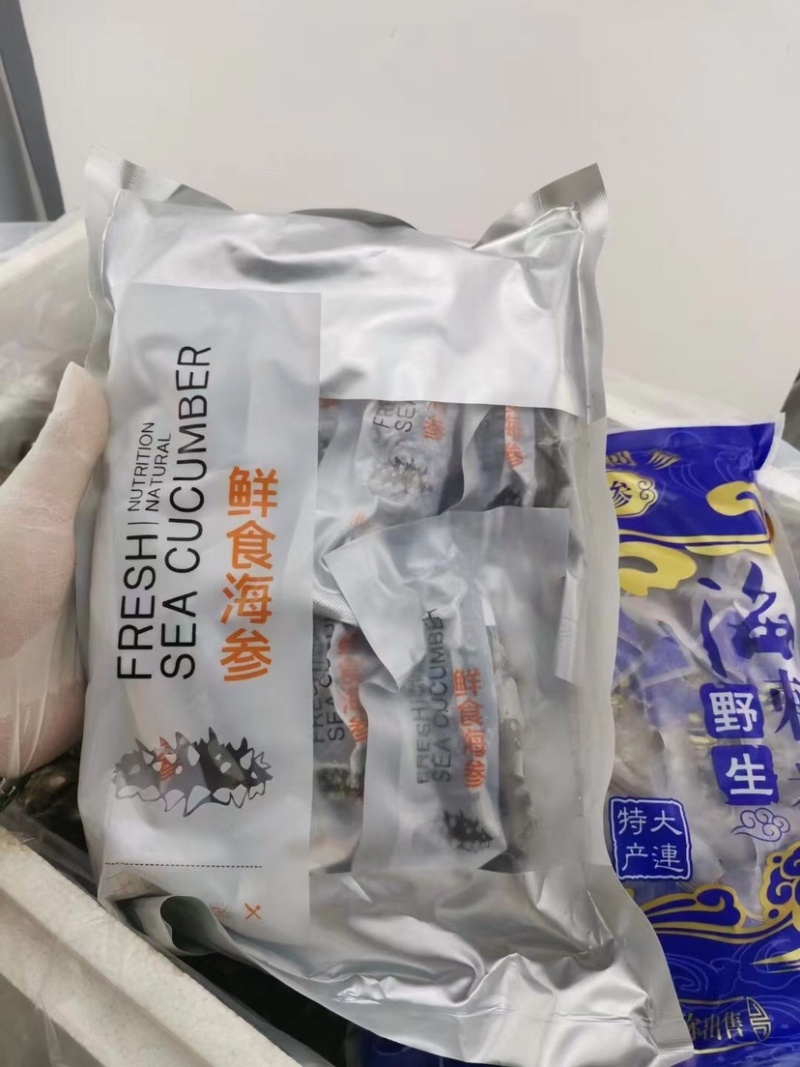 即食海参500克10条装