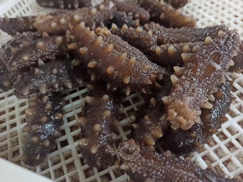 即食海参500克10条装