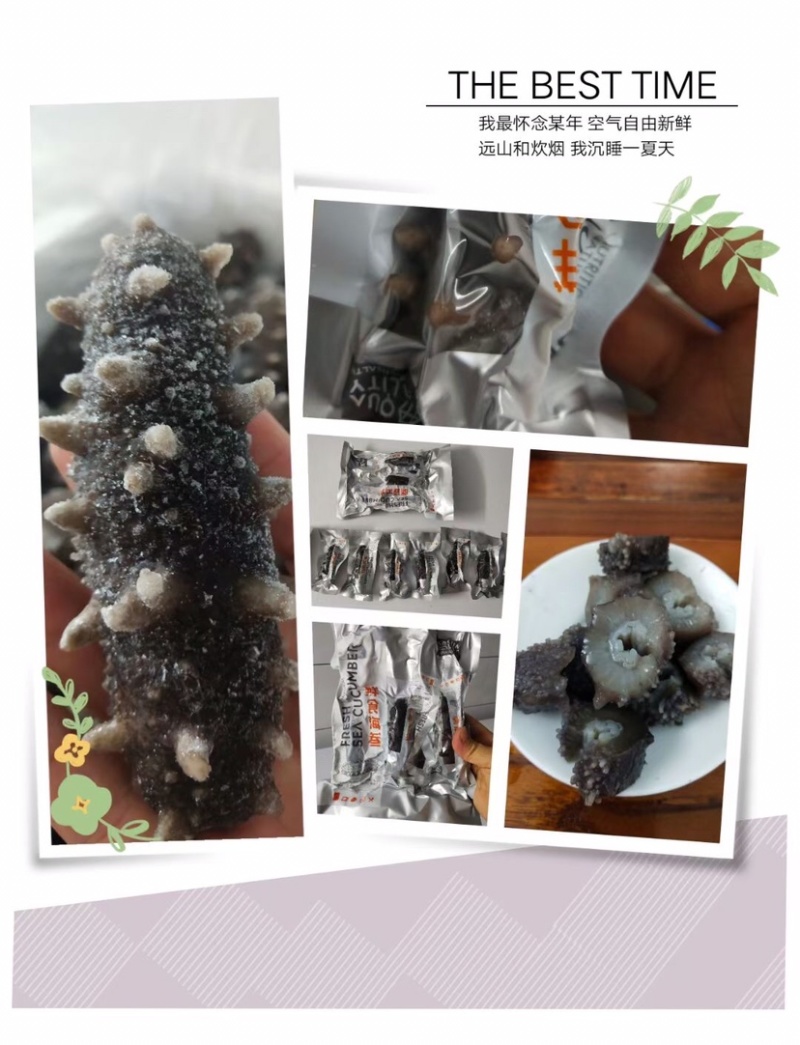 即食海参500克10条装