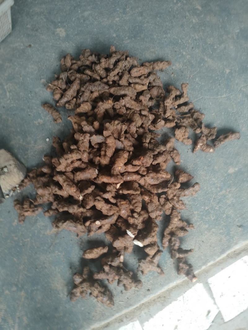 肇庆土茯苓(粉质本地货，不变色，长期有货)