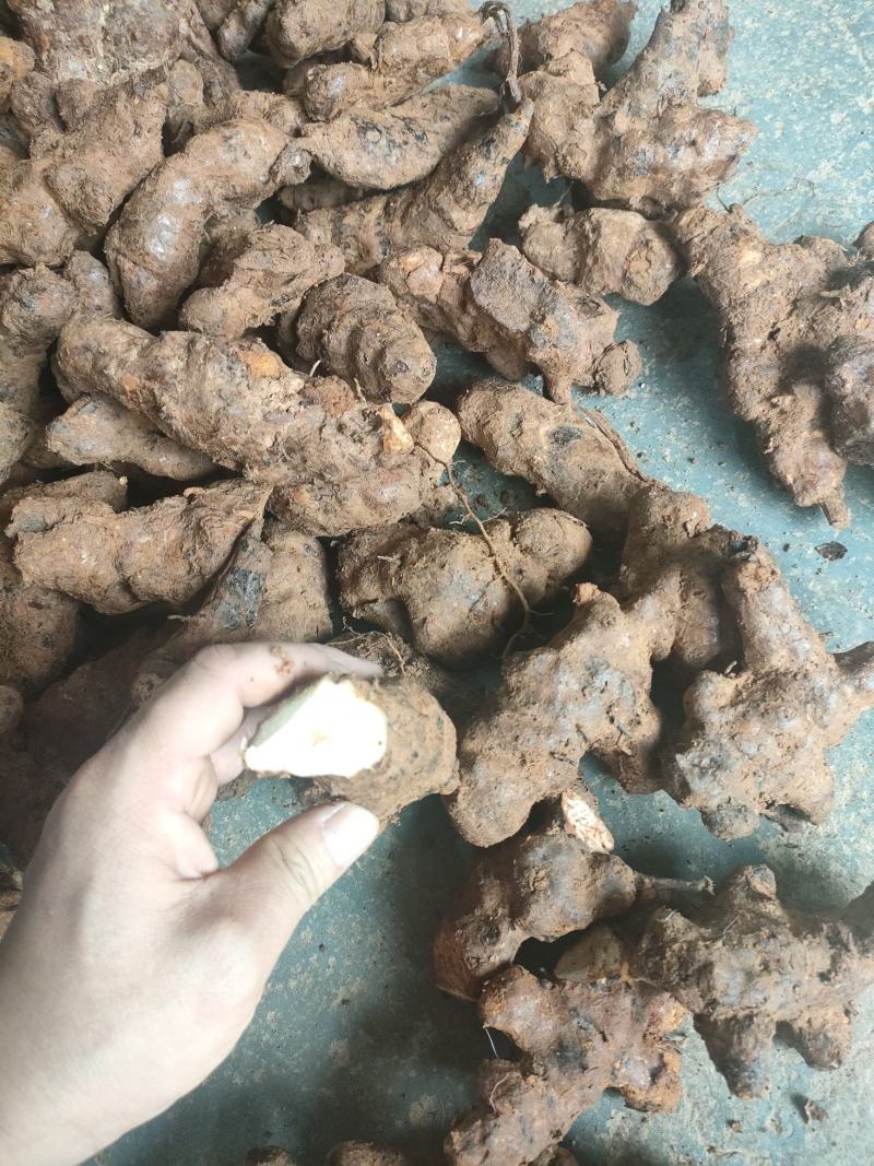 肇庆土茯苓(粉质本地货，不变色，长期有货)