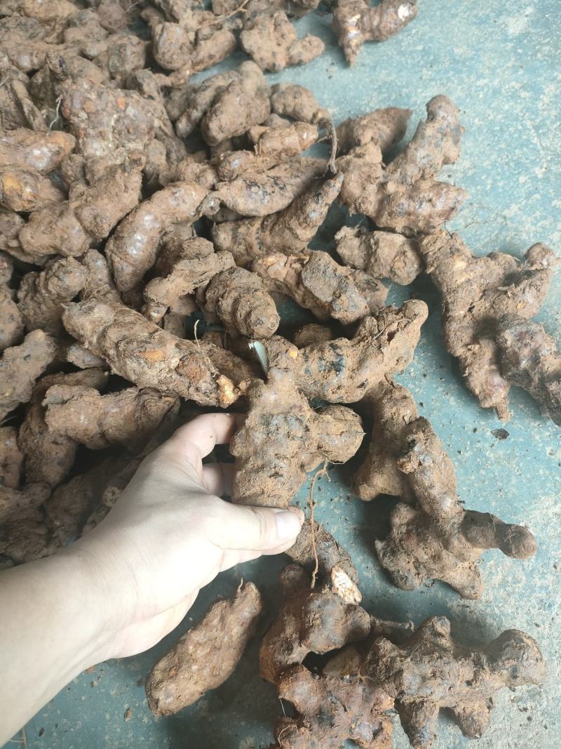 肇庆土茯苓(粉质本地货，不变色，长期有货)