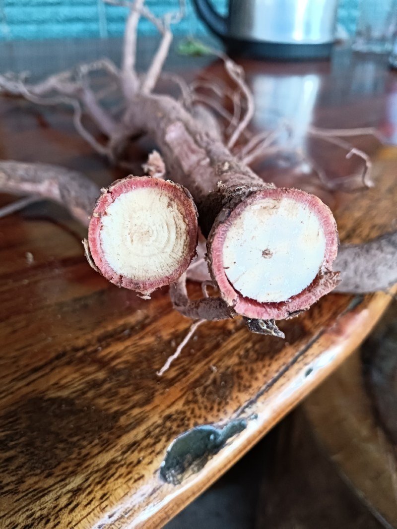 千斤拔红皮白心