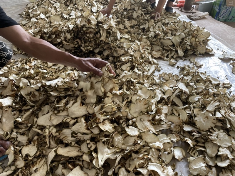 佛手干货，鲜货都有，需要过来看看
