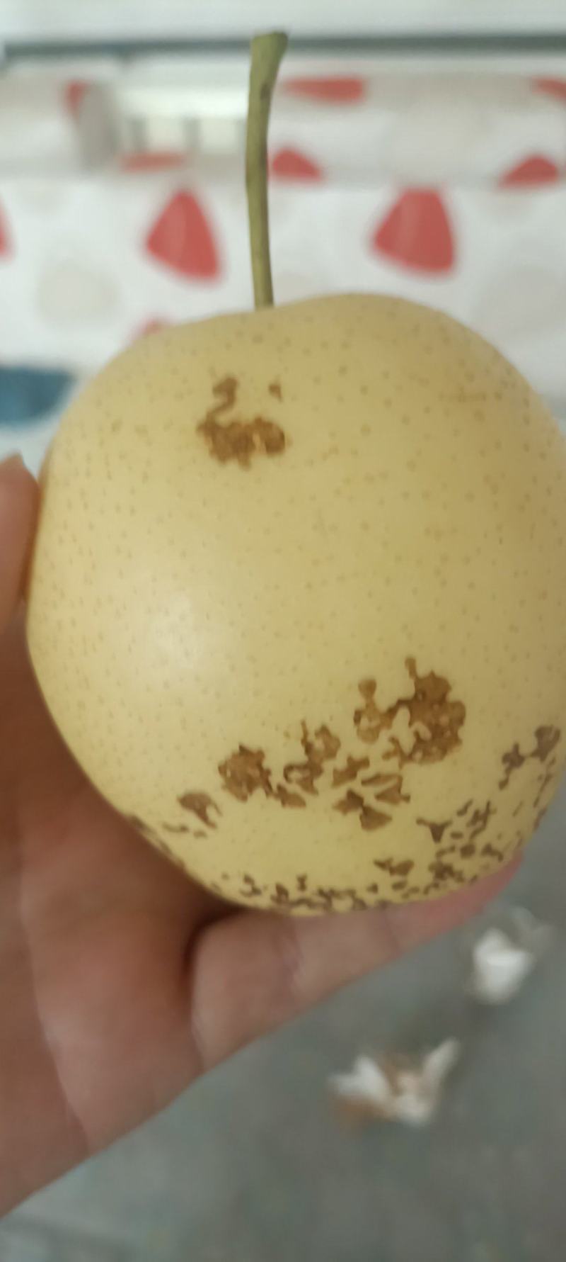 打折价