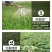 30%甲霜灵噁霉灵农药立枯根腐枯萎青枯死苗烂根专用杀菌剂