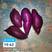 紫薯，008苗，三代小花叶苗