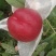色泽光亮