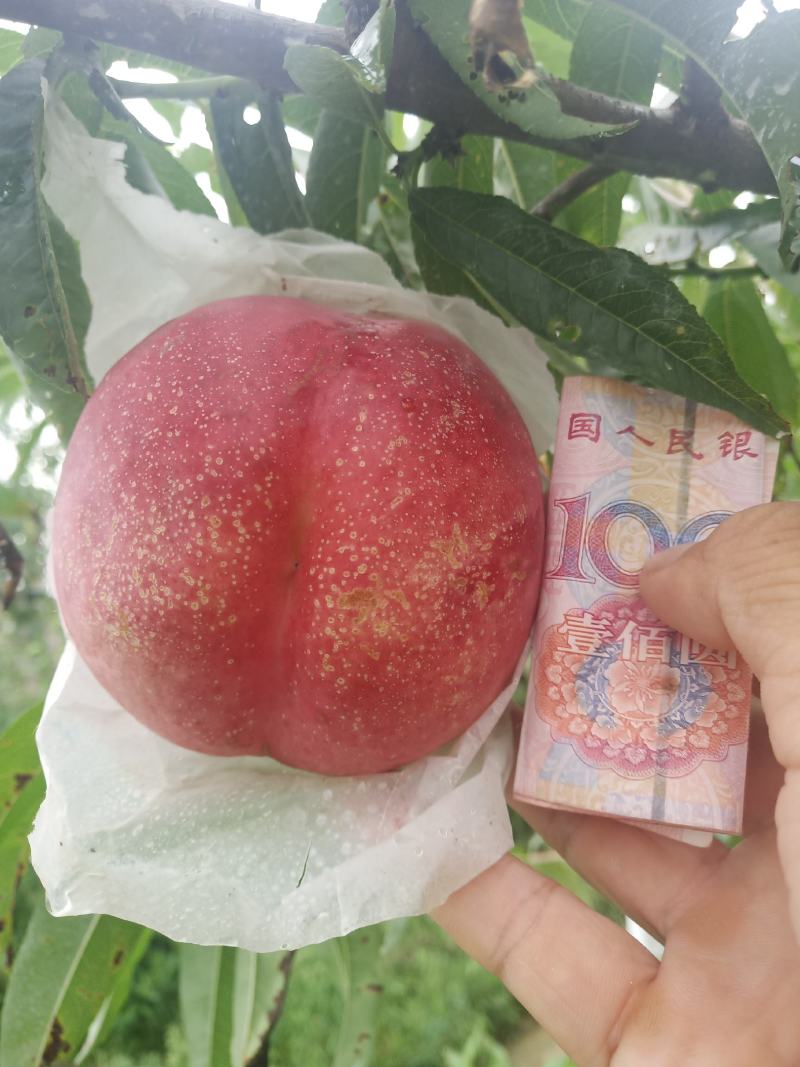 色泽光亮