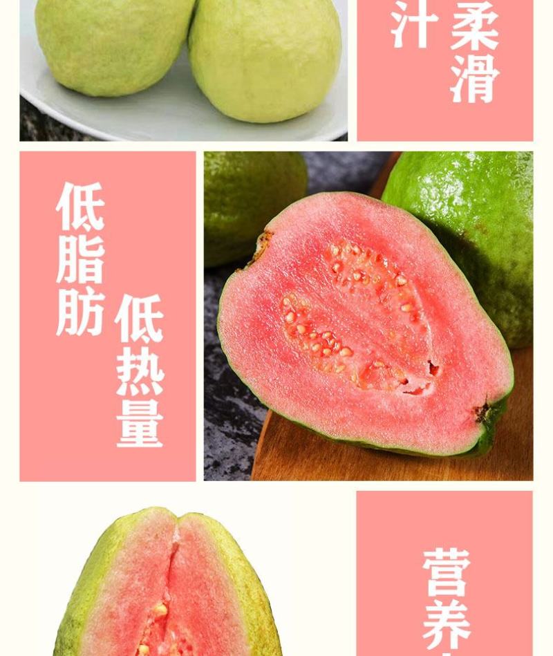 广西红心番石榴香甜软糯新鲜现摘红心芭乐坏果包赔一件代发