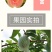 广西红心番石榴香甜软糯新鲜现摘红心芭乐坏果包赔一件代发