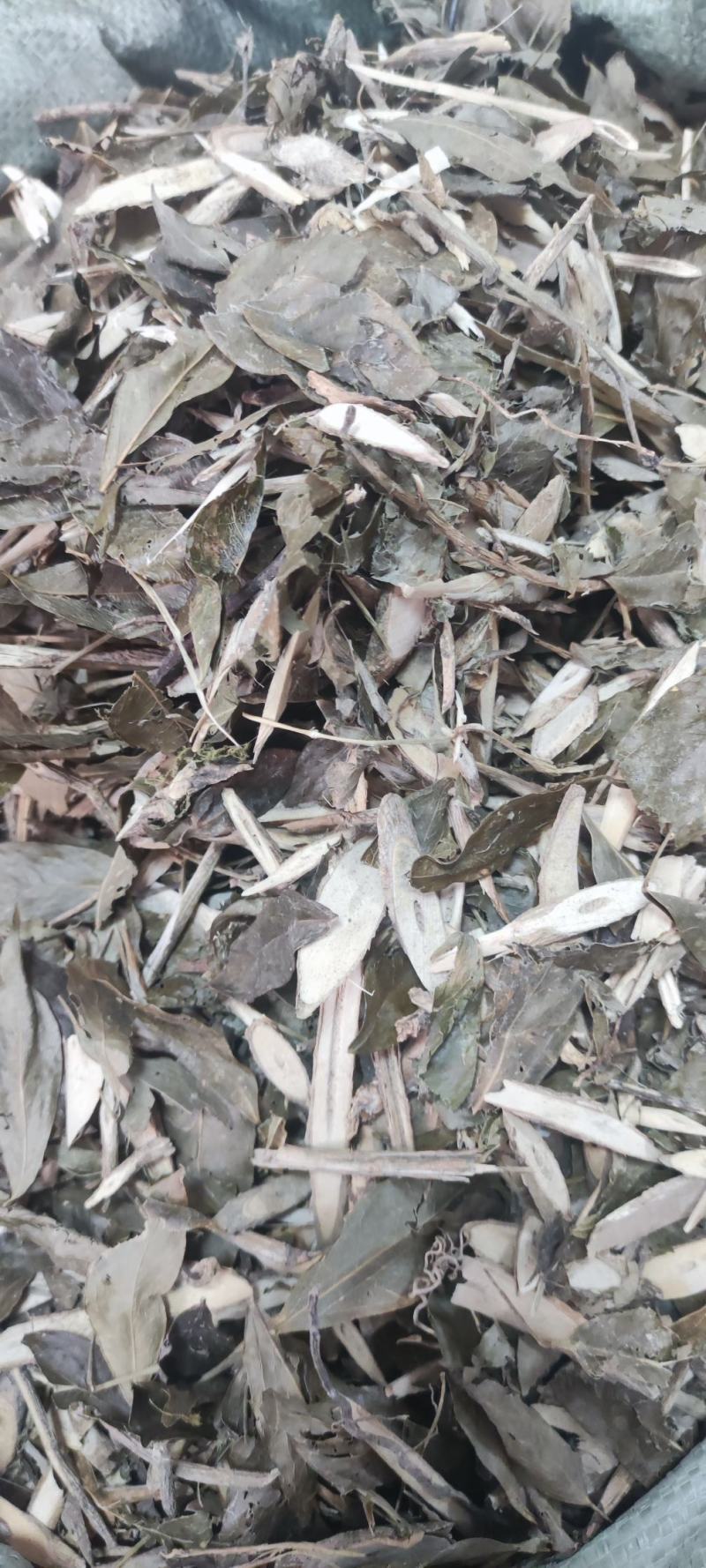 七叶莲～新货~切片~1公斤起售～质量保证～
