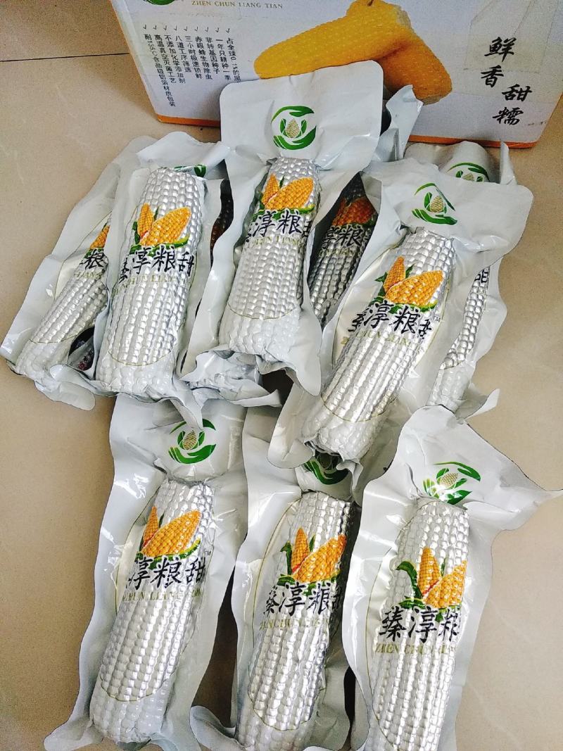 一件代发臻淳粮甜粘玉米包邮
