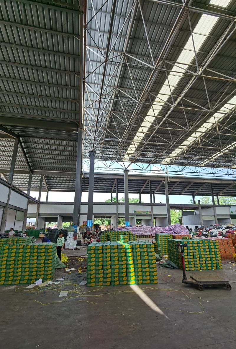 广西桂七芒果，电商，落地配，社区团购，市场等供应。