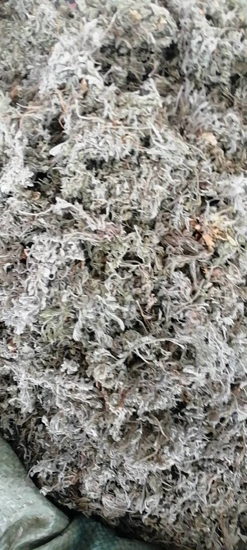 绵茵陈，产地直供，量大从优