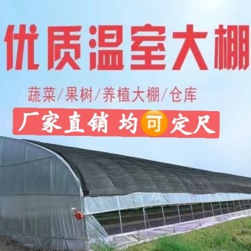 大棚骨架西瓜大棚火龙果大棚草莓大棚育苗花卉大棚