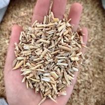 白毛根，毛根，无硫毛根，毛根米，云南产地，一手货源
