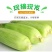 兰州水果玉米白糯玉米彩糯玉米双色玉米产地直供