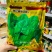 国外原种繁育抗病耐寒耐热大叶菠菜种子荷兰速生巨菠菠菜种籽