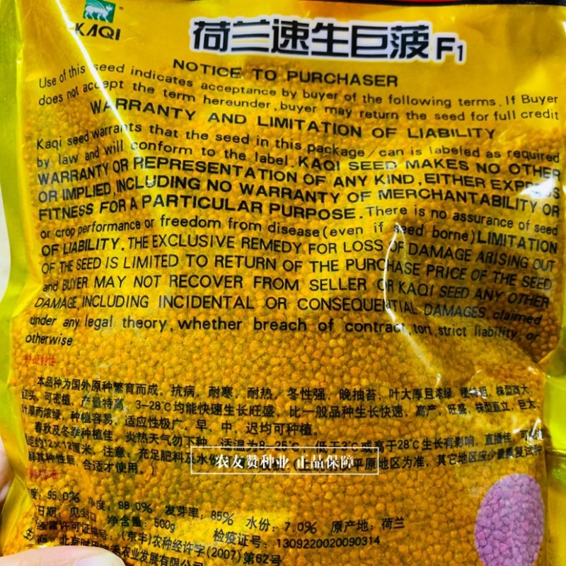 国外原种繁育抗病耐寒耐热大叶菠菜种子荷兰速生巨菠菠菜种籽