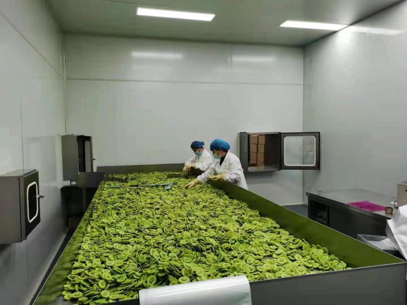 猕猴桃脆片厂家常年供应欢迎下单咨询