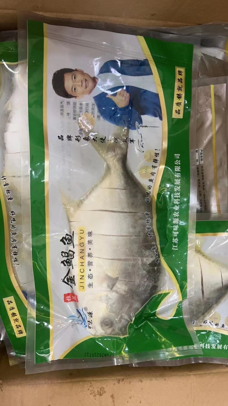 拉花金昌鱼金鲳鱼酒店调理品去鳃富贵鱼黄鱼海鱼