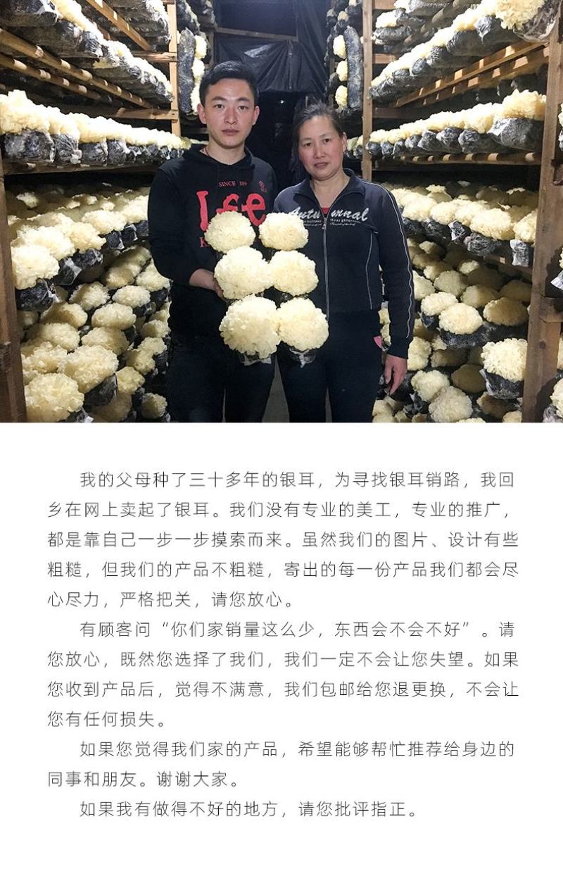 金燕本草银耳金芍耳古田白木耳焖烧杯冲泡即食银耳莲子羹