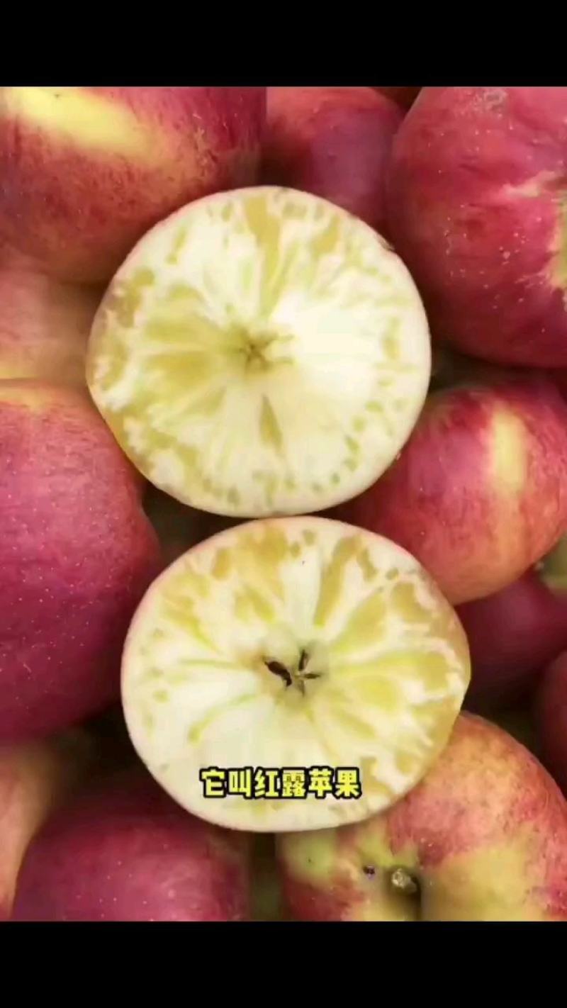 云南昭通早熟红露苹果樱桃小苹果产地直发