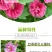 重瓣蜀葵花种子锦葵宿根多年生盆栽四季开花不断易活春季夏花